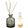 „Maison Berger Paris“ dovanų rinkinys „Aroma Energy“ difuzorius pilka + papildymas „Fresh Tonikas“, 200 ml