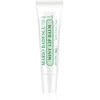 Mario Badescu mėtų lūpų balzamas 10g