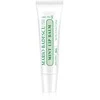 Mario Badescu mėtų lūpų balzamas 10g