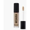 Mesauda Pro Light Highly Moisturizing Fluid Maskuoklis drėkinamasis skystas maskuoklis, atspalvis: N40, 4 ml