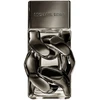 Michael Kors Pour Homme Absolu EDP parfumuotas vanduo vyrams, 30 ml
