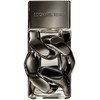 Michael Kors Pour Homme Absolu EDP parfumuotas vanduo vyrams, 30 ml