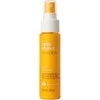 Milk Shake Incredible Milk Hair Milk Treatment For maitininantis, 55 ml