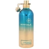 Montale Paris Montale Aoud Lagoon EDP parfumuotas vanduo unisex, 100 ml