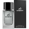 Mr Burberry EDT tualetinis vanduo unisex, 100 ml
