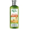 Naturaleza Y Vida Revitalizing Šampūnas, 300 ml