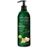Naturalium Super Food Imbieras Tonizuojantis kūno losjonas 400ml