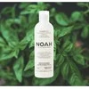 Noah 1.5. Purifying Šampūnas With Žalias Tea Šampūnas nuo pleiskanų, 250 ml
