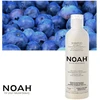 Noah 1.9. Anti-Geltona Šampūnas Geltonus atspalvius neutralizuojantis šampūnas, 250 ml