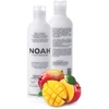Noah 2.1. maitininantis Conditioner With Mango And Rice Proteins Maitinamasis balzamas lengvinantis plaukų iššukavimą, 250 ml