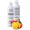 Noah 2.1. maitininantis Conditioner With Mango And Rice Proteins Maitinamasis balzamas lengvinantis plaukų iššukavimą, 250 ml