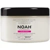 Noah 2.4. Hair Mask With Rice Phytokeratine Spalvą tausojanti kaukė dažytiems plaukams, 500 ml