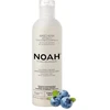 Noah 2.6. Anti-Geltona Hair Mask Geltonus tonus neutralizuojanti plaukų kaukė, 250 ml