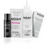 Noah Color In Oil 7.0 Aliejiniai plaukų dažai, 135 ml