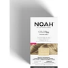 Noah Color Kit 11.00 Superplatinum Blond ilgalaikiai plaukų dažai, 140 ml