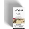 Noah Color Kit 11.00 Superplatinum Blond ilgalaikiai plaukų dažai, 140 ml