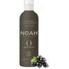 Noah Origins maitininantis Hair Mask maitinanti kaukė pažeistiems ir sausiems plaukams, 250 ml