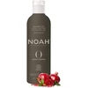 Noah Origins Šampūnas For Frequent Use Šampūnas kasdieniam naudojimui, visų tipų plaukams, 250 ml