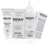 Noah Permanent Hair Dye 4.0 Brown Ilgalaikiai plaukų dažai, 140 ml