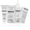 Noah Permanent Hair Dye 4.06 Coffee Brown Ilgalaikiai plaukų dažai, 140 ml