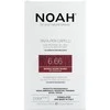 Noah Permanent Hair Dye 6.66 Raudona Dark Blond Ilgalaikiai plaukų dažai, 140 ml