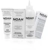 Noah Permanent Hair Dye 6.66 Raudona Dark Blond Ilgalaikiai plaukų dažai, 140 ml