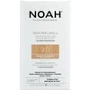 Noah Permanent Hair Dye 9.0 Very Light Blond Ilgalaikiai plaukų dažai, 140 ml
