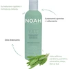 Noah YAL Hydrating And Restorative Treatment Šampūnas Atkuriamasis drėkinantis šampūnas su hialurono rūgštimi ir šalaviju, 250 ml