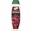 Palmolive Naturals Brilliant Color Šampūnas šampūnas dažytiems plaukams, 350 ml