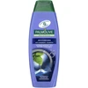 Plaukų šampūnas Palmolive Antiforfora 350ml
