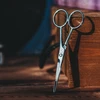 Percy Nobleman Beard & Moustache Scissors Barzdos ir ūsų formavimo žirklės, 1 vnt.
