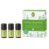 Primavera Aroma pirmosios pagalbos rinkinys 3 x 5 ml