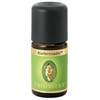 Primavera Essential Oil Pine Wood Bio 5 ml