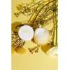 Rare Paris Trésor Solaire Soothing Day Kreminis dieninis kremas, 50 ml