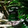 Roja Parfums Apex Eau Intense EDP parfumuotas vanduo unisex, 100 ml
