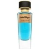 Salvatore Ferragamo E Pur Si Muove EDP parfumuotas vanduo unisex, 100 ml