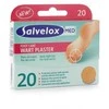Salvelox karpos Apositos 20 vienetų