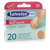 Salvelox karpos Apositos 20 vienetų
