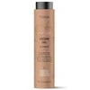 Šampūnas plaukams Lakme Teknia Argan Oil Šampūnas, su argano aliejumi, 300 ml