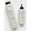 Šampūnas plaukams Lakme Teknia Scalp Care Detox Šampūnas, nuo pleiskanų, tinka riebiai galvos odai, 300 ml