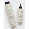 Šampūnas plaukams Lakme Teknia Scalp Care Detox Šampūnas, nuo pleiskanų, tinka riebiai galvos odai, 300 ml