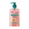 "Sanytol" virtuvinis rankų muilas 250ml