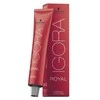 Schwarzkopf Igora Royal ilgalaikio poveikio plaukų dažai 60 ml - 6-6