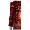 Schwarzkopf Igora Royal ilgalaikio poveikio plaukų dažai 60 ml - 8-19