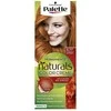 Schwarzkopf Palette Naturals Color Creme 8.77 Intense Copper - plaukų dažai