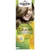 Schwarzkopf Palette Naturals Color Creme 6.0 Tamsiai šviesi spalva - plaukų dažai