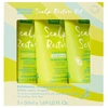 Set Umberto Giannini: Scalp Restore Vegan & Cruelty-Free Hair Conditioner Nuo pleiskanų & Soothing, 50 ml + Scalp Restore Vegan & Cruelty-Free Hair Šampūnas Nuo pleiskanų & Scalp Care, 50 ml + Umberto Giannini Scalp Scrub Gentle Exfoliation, 50 ml