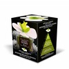 Drėkintuvas Sweet Home Collection Aroma difuzorius Baltas Musk and Peony 150 ml