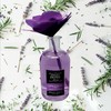 Drėkintuvas Sweet Home Collection Provanso levandų - Bijūnų kvapų difuzorius 250 ml