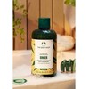 The Body Shop Ginger Šampūnas, 250 ml